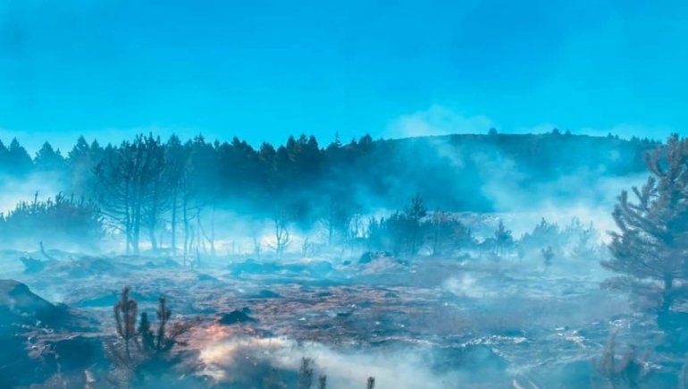 Bajó la intensidad del fuego en el incendio en Quillén