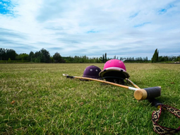 la original propuesta que combina vino, gastronomia y deporte en la vendimia neuquina la original propuesta que combina vino, gastronomia y deporte en la vendimia neuquina