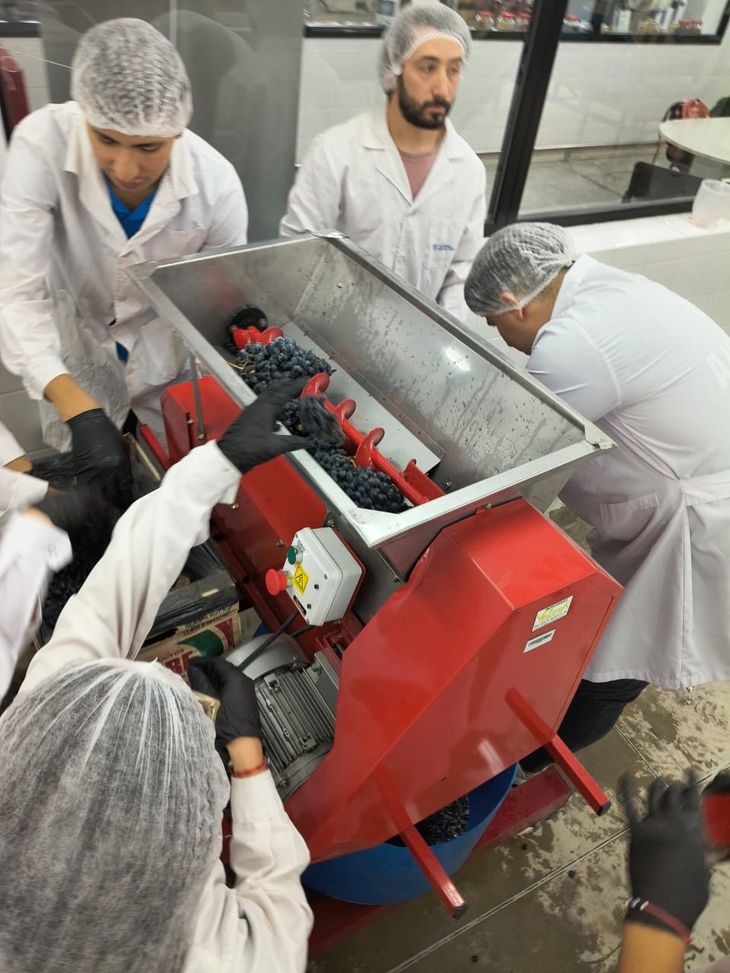 Inserción laboral: Egresados de la tecnicatura ya ocupan puestos clave en las bodegas más importantes del Alto Valle. Inserción laboral: Egresados de la tecnicatura ya ocupan puestos clave en las bodegas más importantes del Alto Valle.