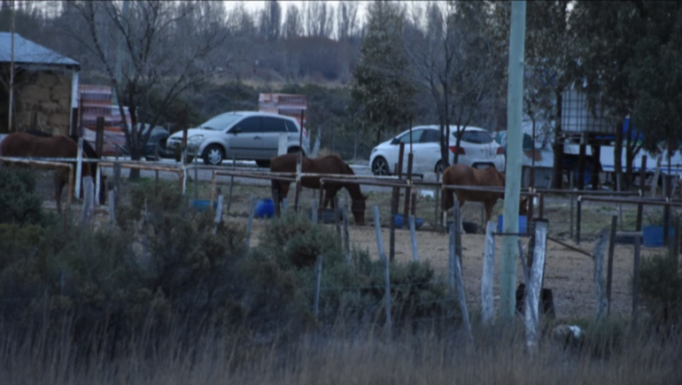 Los dos caballos de la Policía Montada de Chubut escaparon por una falla en el sistema de cierre eléctrico de un corral (foto de archivo) Los dos caballos de la Policía Montada de Chubut escaparon por una falla en el sistema de cierre eléctrico de un corral (foto de archivo)