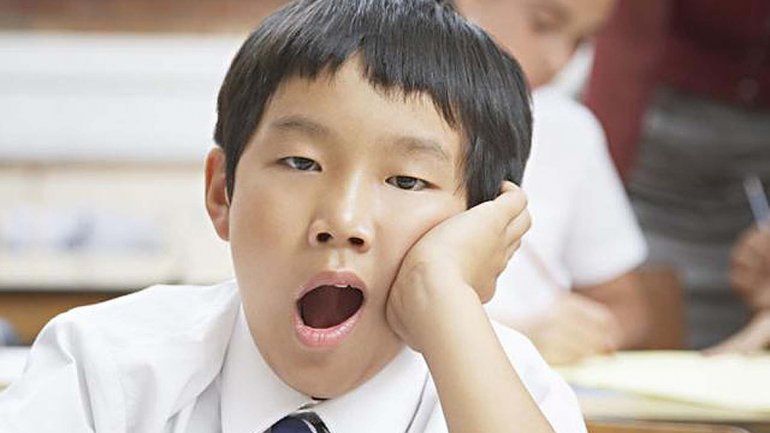 El sistema mejora la calidad de la enseñanza.