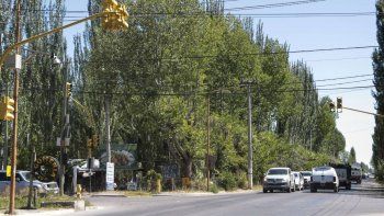 robo a pollolin: hallaron los vehiculos que usaron los ladrones robo a pollolin: hallaron los vehiculos que usaron los ladrones