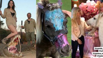 maltrato animal vip: de los ponys de wanda y blaquier, a las poses de vanucci y garfunkel con su presas