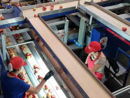 Sectores tradicionales de la industria quedaron reducidos a una mínima expresión. Sectores tradicionales de la industria quedaron reducidos a una mínima expresión.