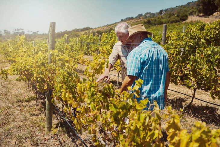La crisis económica fuerza a muchos productores a abandonar sus tierras.