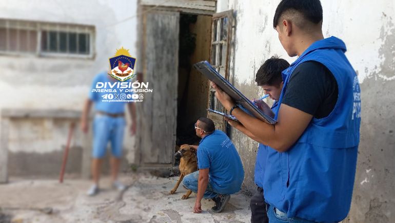 Plottier: rescataron a una perrita por maltrato animal