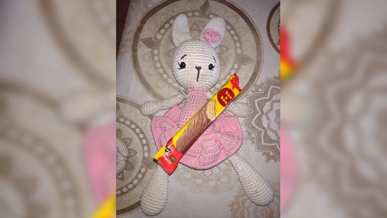 Apareció Josefa, la coneja de la nena con autismo que se había perdido