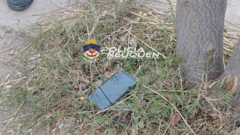 La ladrona arrojó el teléfono celular que había robado mientras era perseguida por la Policía.