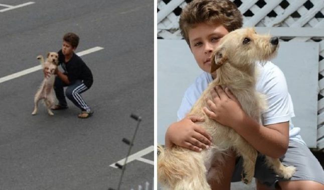 Se arriesg&oacute; para salvar al perro&nbsp;