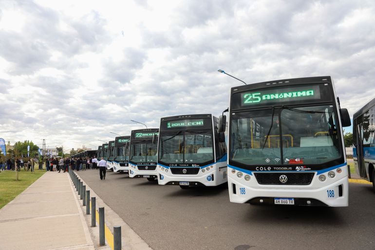 COLE suma 36 nuevas líneas en la ciudad.&nbsp;