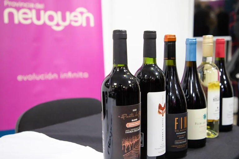 Patagonia del Vino, una cita con las mejores bodegas de la región