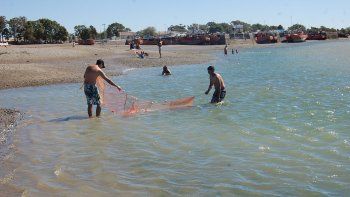la ria de san antonio, un mundo por descubrir en bajamar la ria de san antonio, un mundo por descubrir en bajamar