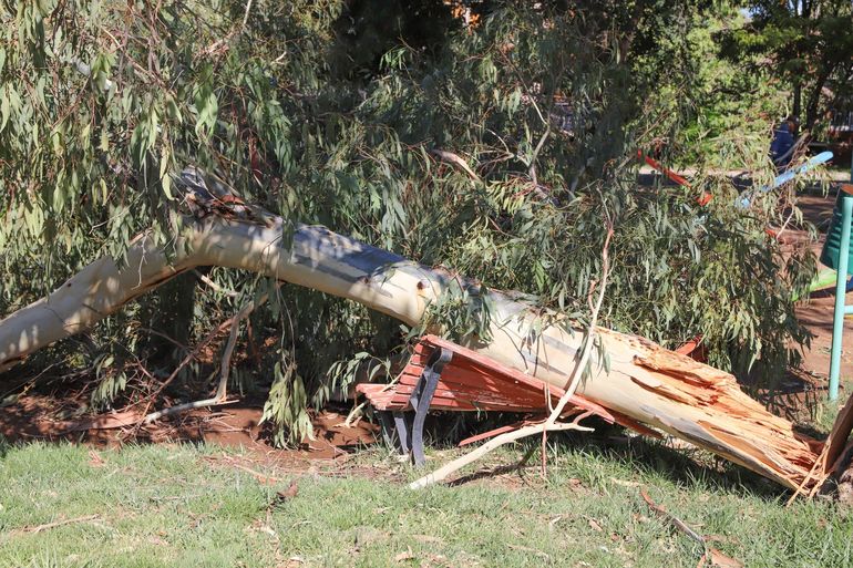 Los daños fueron cuantiosos en varios barrios de Cipolletti / Foto Anahí Cárdena