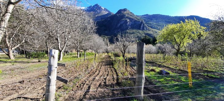 Los inviernos fríos y húmedos donde se hidrata el perfil del suelo. Foto: gentileza "Establecimiento Las Acacias". Los inviernos fríos y húmedos donde se hidrata el perfil del suelo. Foto: gentileza "Establecimiento Las Acacias".
