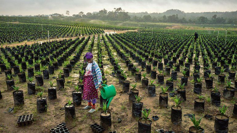 Ayuda que mata al mundo desarrollado