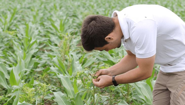 El control alcanza a salarios que superan ciertos umbrales y a gastos informados por los empleados.
