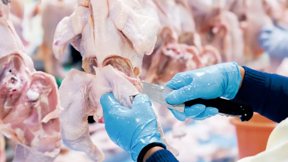 Cambios en la mesa argentina: el pollo lidera el consumo de carnes