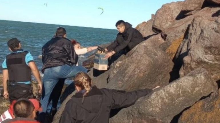 Retiran un cráneo humano de una escollera en Playa Unión, Rawson, Chubut. Retiran un cráneo humano de una escollera en Playa Unión, Rawson, Chubut.