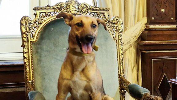 Balcarce, muy orondo, en el Sillón de Rivadavia de la Casa Rosada.
