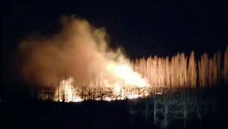 Sin respiro: bomberos de Centenario tuvieron que apagar otro incendio