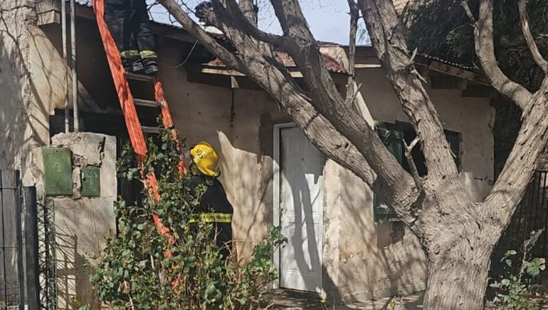 La señora de 77 años fue rescatada pero aún permanece internada en coma.