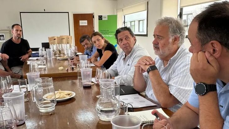 Un panel de diez enólogos especialistas concluyó unánimemente que el entorno marino altera el sabor. Foto: Gobierno de Río Negro. Un panel de diez enólogos especialistas concluyó unánimemente que el entorno marino altera el sabor. Foto: Gobierno de Río Negro.