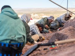 Científicos del CONICET realizaron un descubrimiento clave / Fotos: CONICET. Científicos del CONICET realizaron un descubrimiento clave / Fotos: CONICET.