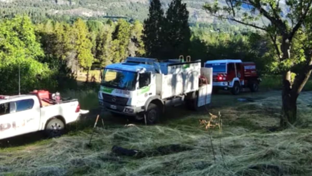 Muerte en un centro turístico de la Patagonia: cortaba leña con una motosierra y el árbol se le vino encima.
