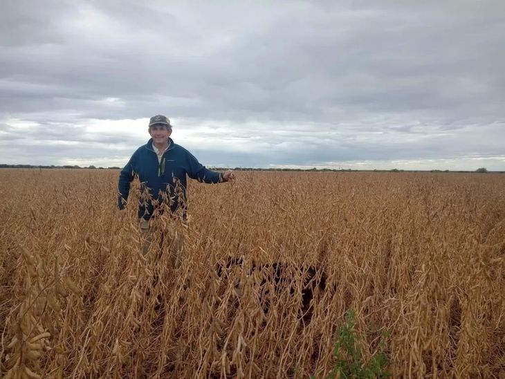 Se utilizó la variedad DM3312 con una densidad de 300 mil plantas/ha. Se utilizó la variedad DM3312 con una densidad de 300 mil plantas/ha.