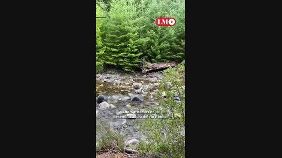 Qué hacer en Villa La Angostura: no te pierdas esta caminata amigable