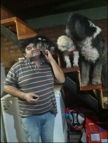 El padre de Sofía junto con sus tres perros.