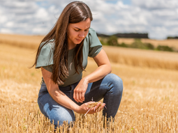 como aplicar a la beca de inta como aplicar a la beca de inta