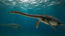 El fósil de un monstruo marino de hace 66 millones de años sorprende a la ciencia desde la Patagonia. El fósil de un monstruo marino de hace 66 millones de años sorprende a la ciencia desde la Patagonia.