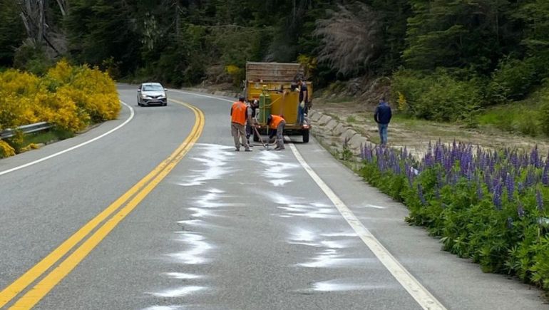Qué pasará en la Ruta Siete Lagos que estará cortada este jueves