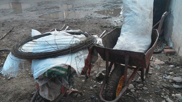 Se salvó de que le roben los chanchos de su chacra