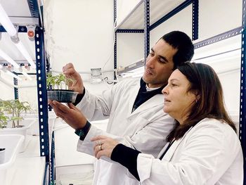 Gabriela Guevara y Fernando Muñoz en los laboratorios del IIB. Fotos: CONICET Mar del Plata. Foto: Conicet