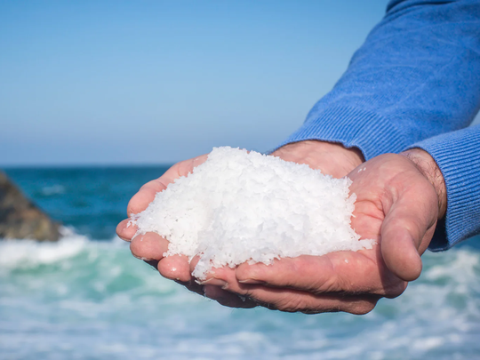 Sal Marina Argentina: La excelencia mineral de la Patagonia