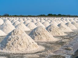 Instalaciones de extracción de litio en el noroeste argentino: inversión récord y proyecciones de liderazgo global en suministro. Instalaciones de extracción de litio en el noroeste argentino: inversión récord y proyecciones de liderazgo global en suministro.