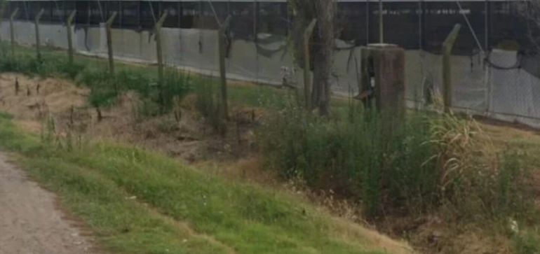 El brutal hallazgo de un nene de dos años muerto: estaba lleno de mordeduras