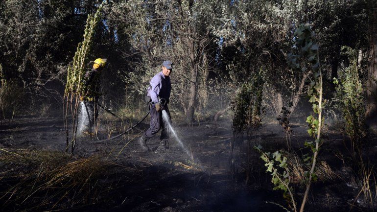 El trabajo de los bomberos fue intenso hasta controlar el fuego.