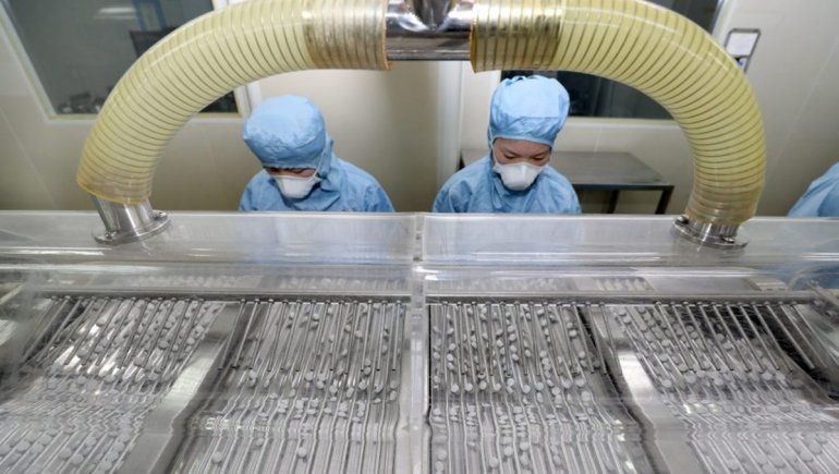 COVID-19: hallaron anticuerpos 4 meses después del contagio