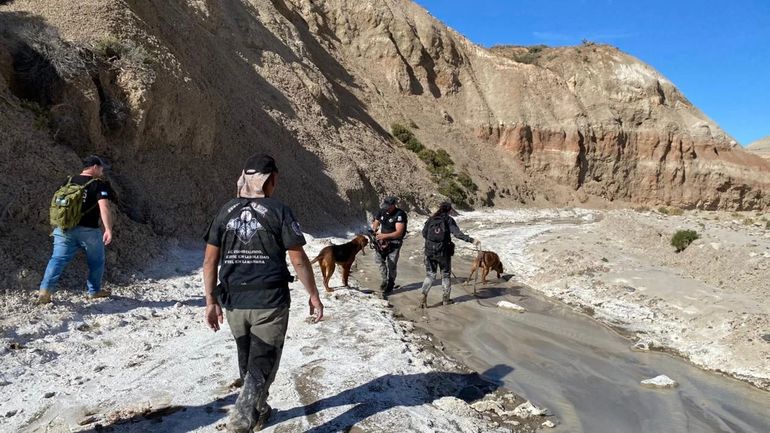 Chubut: para el ex director del SIFEBU, los perros rastreadores tardaron mucho en actuar en la búsqueda de los jubilados Pedro Alberto Kreder y Juana Inés Morales. Chubut: para el ex director del SIFEBU, los perros rastreadores tardaron mucho en actuar en la búsqueda de los jubilados Pedro Alberto Kreder y Juana Inés Morales.