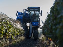 La tecnología crece en el campo...la escala también? La tecnología crece en el campo...la escala también?