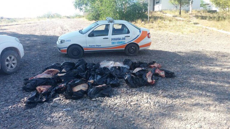 Decomisaron 27 costillares que tenían como destino el Alto Valle