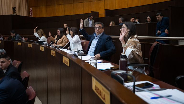 Aprobaron un nuevo régimen de licencias familiares en Neuquén