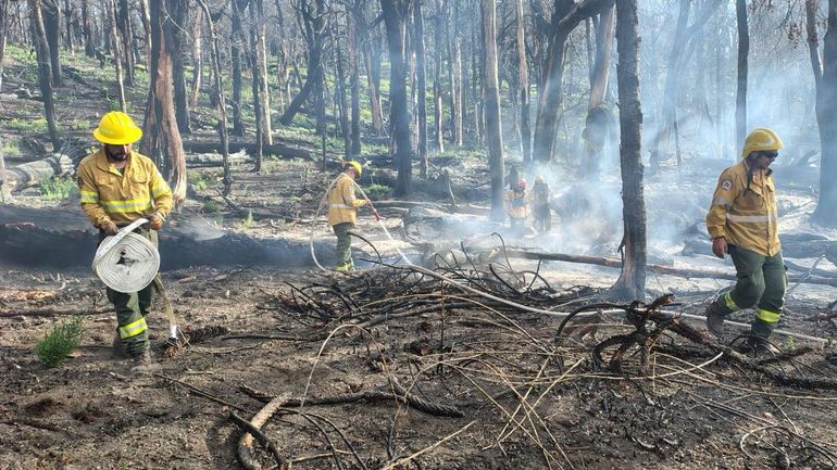 Principio de incendio forestal en Valle Magdalena: rápido y fuerte operativo para contener el fuego