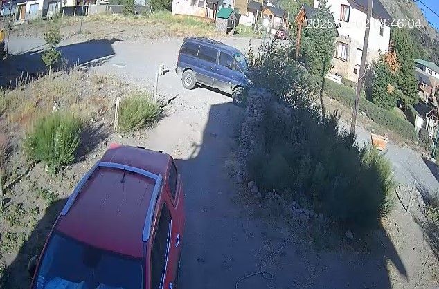 Indignante video: atropelló a una perra de 13 años
