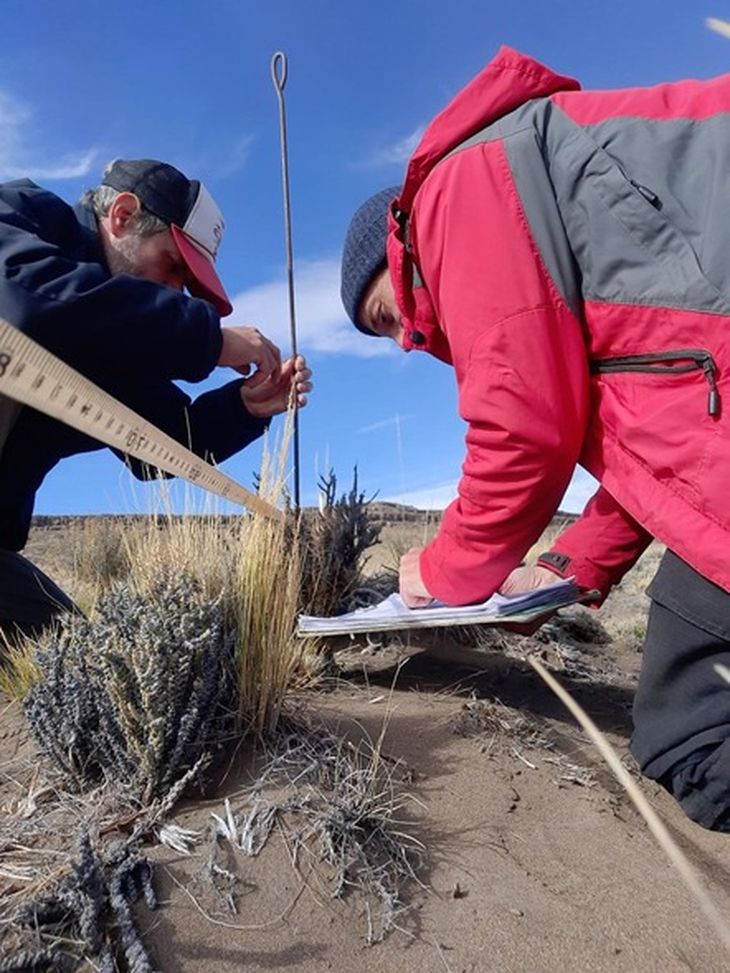 Sepúlveda sabe que es “un cambio total a lo que es la ganadería tradicional Sepúlveda sabe que es “un cambio total a lo que es la ganadería tradicional