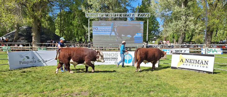 El Remate que se realizó este domingo a la tarde fue un éxito. Foto: Fabricio González. El Remate que se realizó este domingo a la tarde fue un éxito. Foto: Fabricio González.