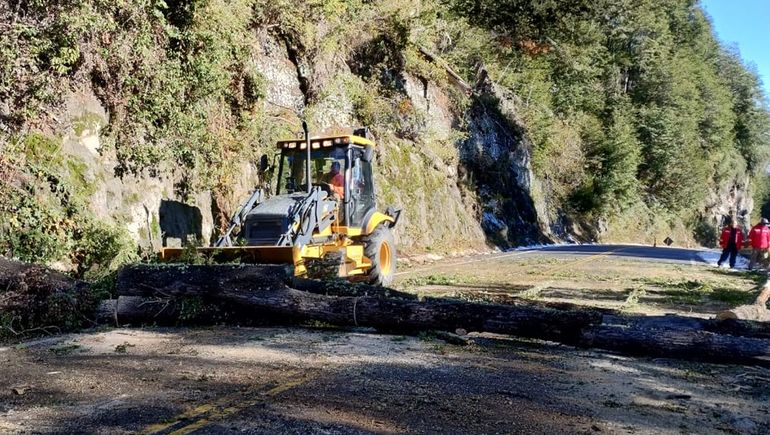 Así se está trabando en el despeje de la Ruta 231. Así se está trabando en el despeje de la Ruta 231.